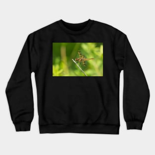 Enter The Dragon Crewneck Sweatshirt